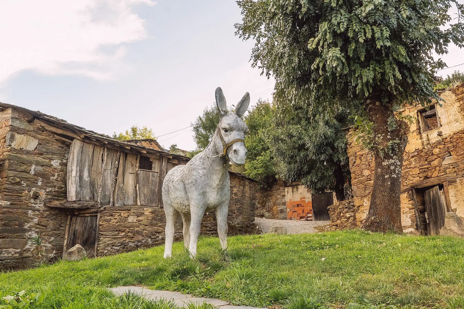 A burra de Aveleda, fotografia 1