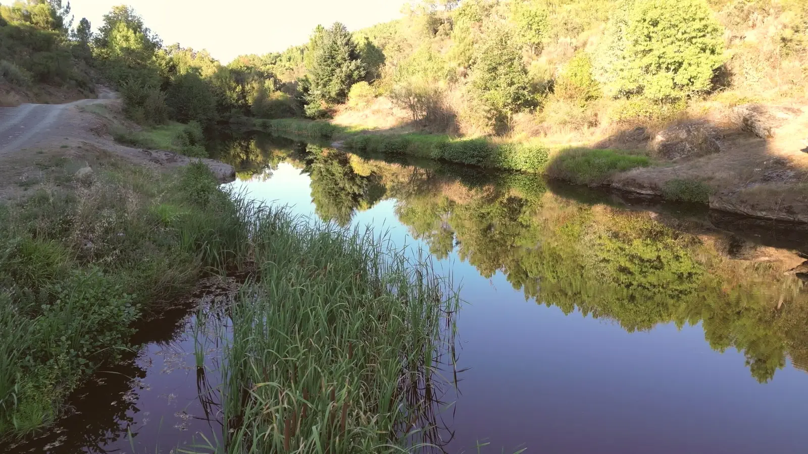 O rio de Varge entre juncos e vegetação ribeirinha
