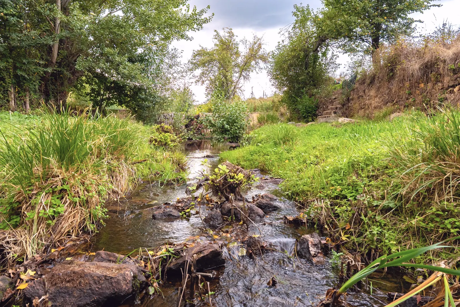 O ribeiro entre a vegetação, nos arredores da aldeia