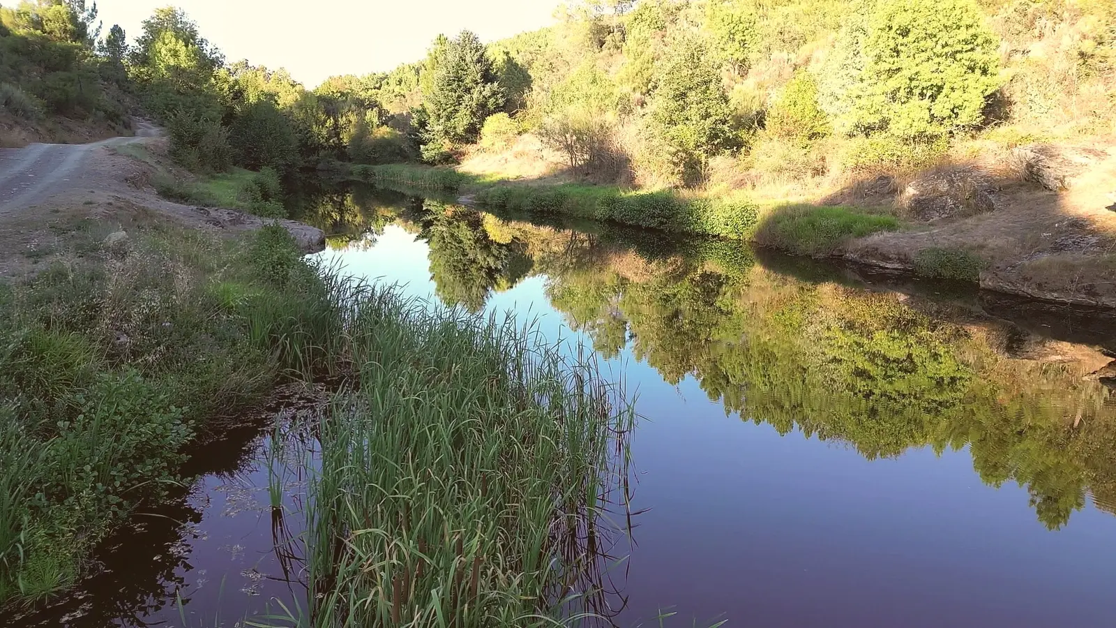 O rio de Varge entre juncos, com a margem arvorizada refletida na água