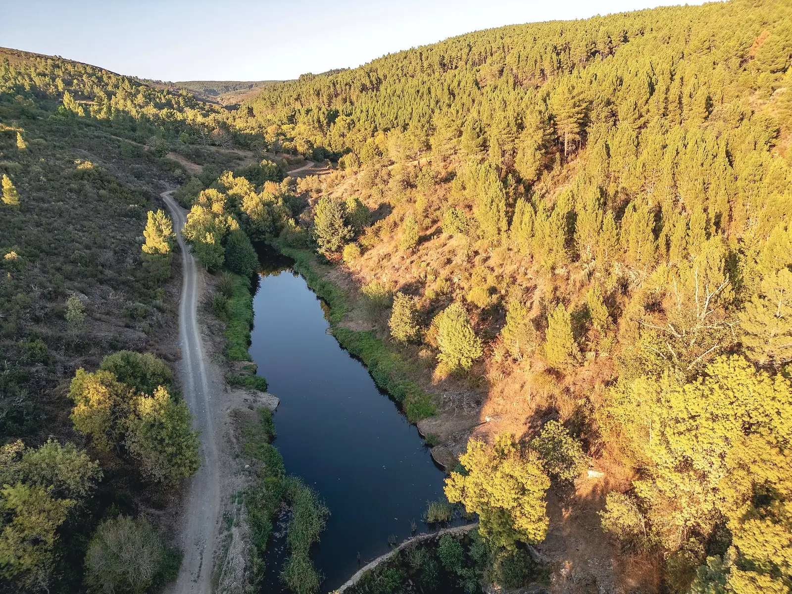 O rio e o pinhal envolvente, vistos de cima