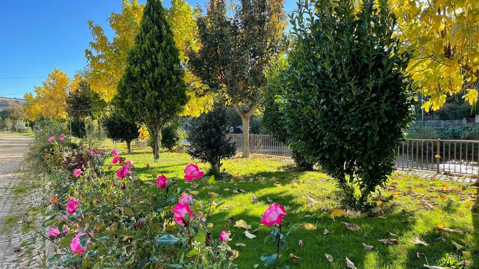 O jardim da aldeia, com rosas e árvores de folha amarela
