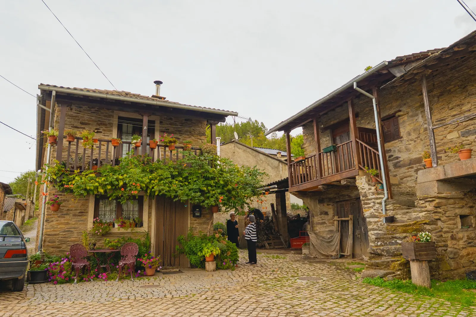 Casa de xisto com a varanda coberta de flores e videira