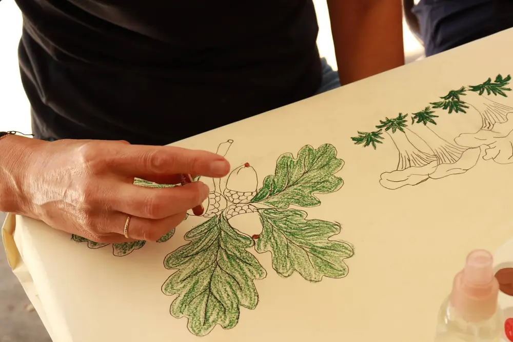 Mão a colorir de verde um desenho de folhas de carvalho e bolotas, ao lado de um desenho de cogumelos